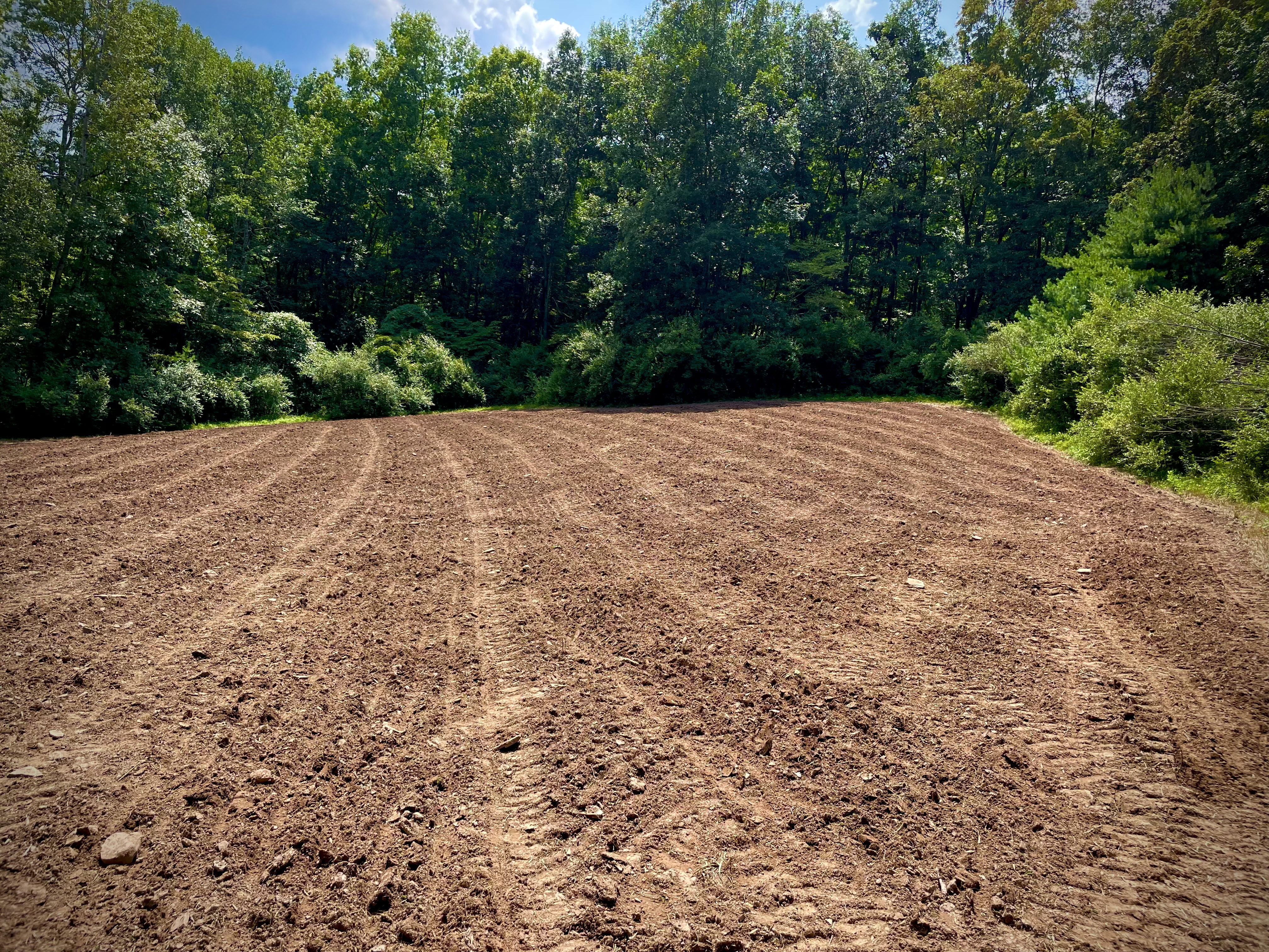 Food Plots